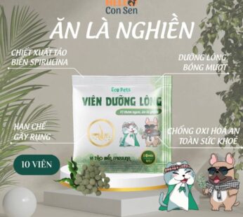 Viên Dưỡng Lông Ecopets: Giàu Biotin và Tảo Giúp Mượt Lông