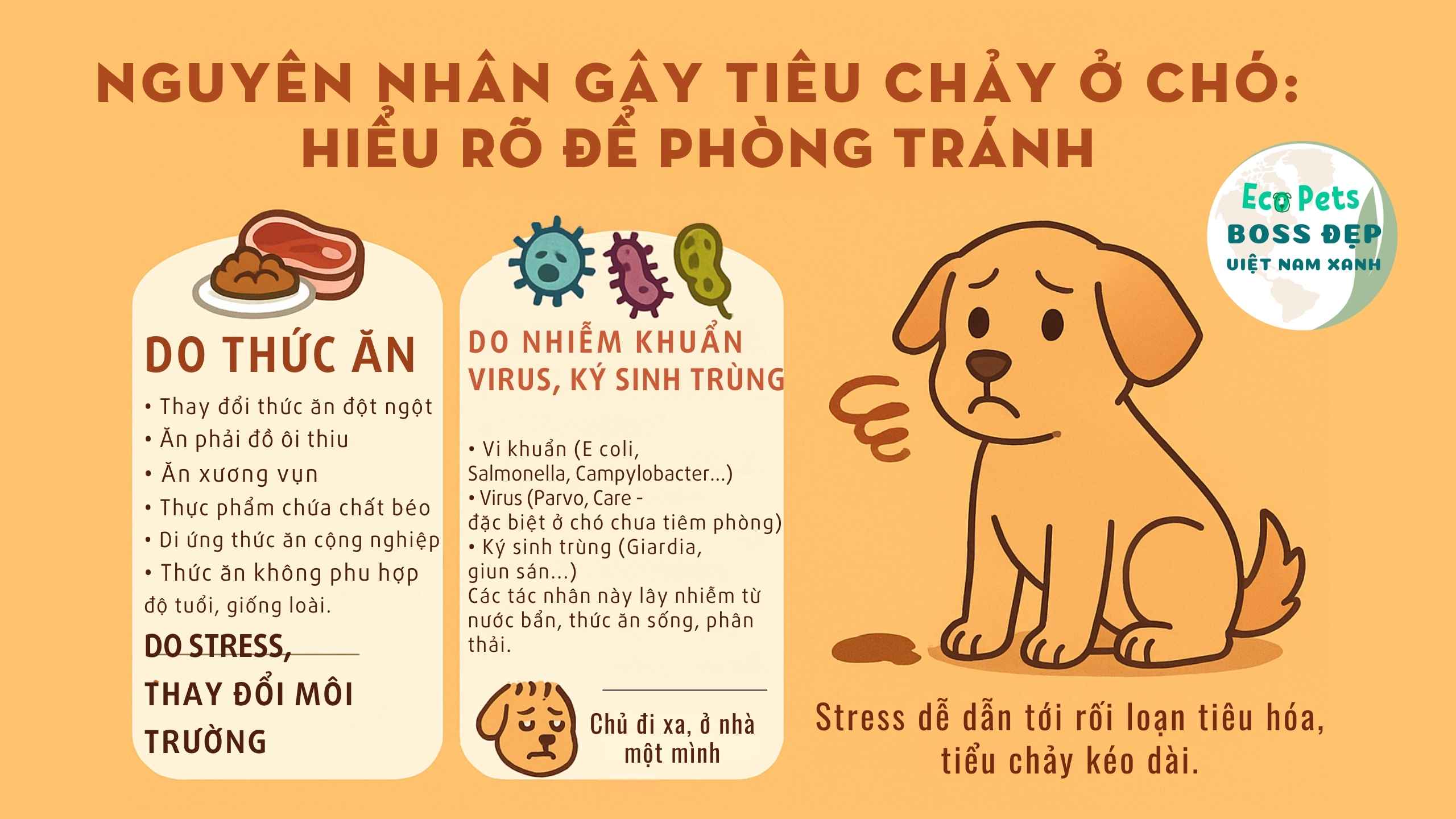 Chó Bị Tiêu Chảy Phải Làm Sao? Xử Lý Ngay Tại Nhà