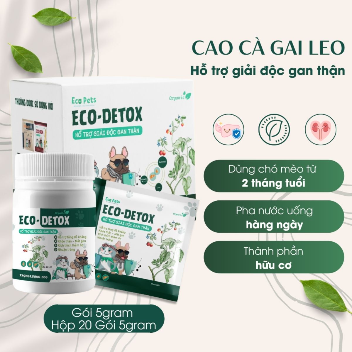 Eco-Detox Có Tốt Không? Review và Đánh Giá Chi Tiết 2025