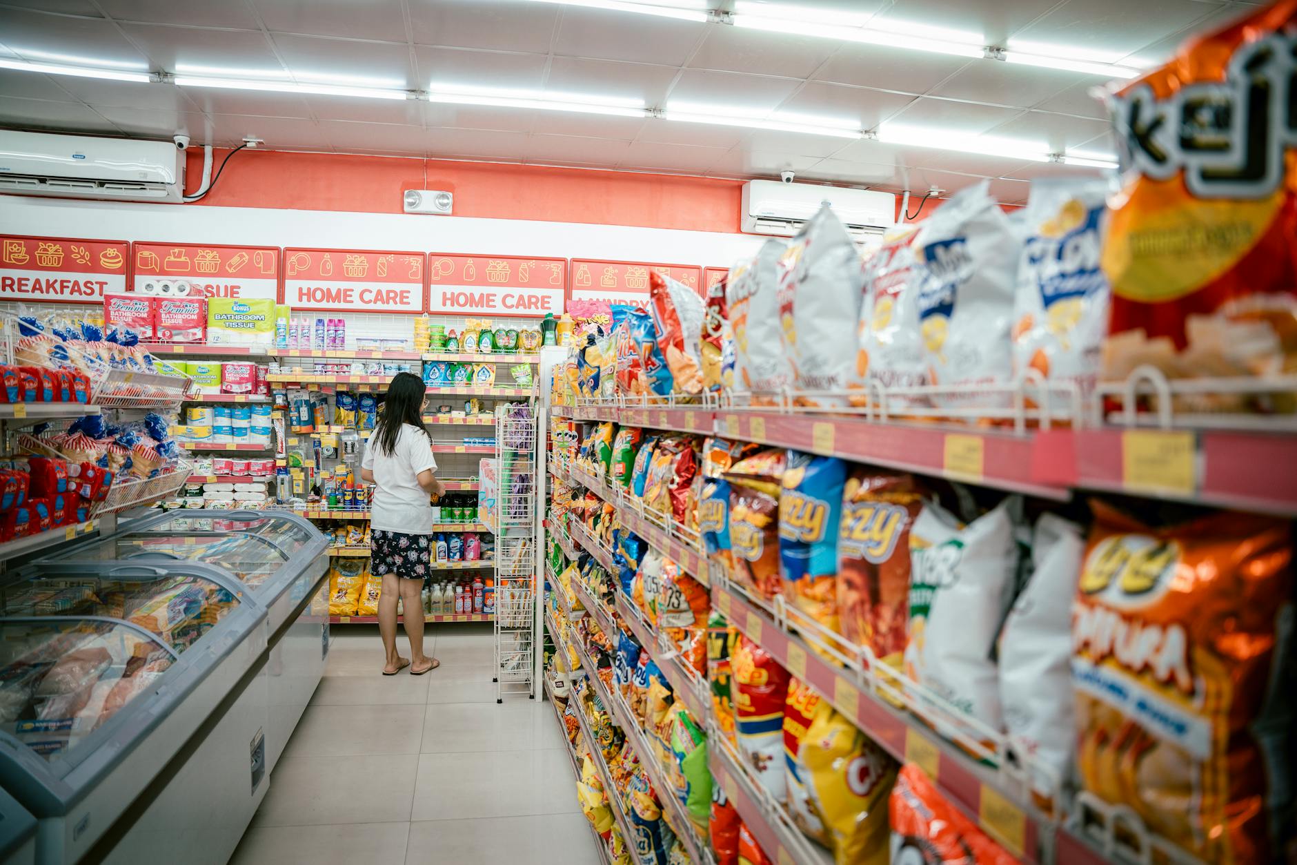 pet store near me: Khi “gần” là nơi tư vấn dinh dưỡng không thay thế bác sĩ thú y — phân tích ranh giới rõ ràng giữa nhân viên cửa hàng và chuyên gia lâm sàng