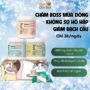 Chà bông Beta Amin tăng đề kháng chó mèo ăn ngon, khỏe mạnh