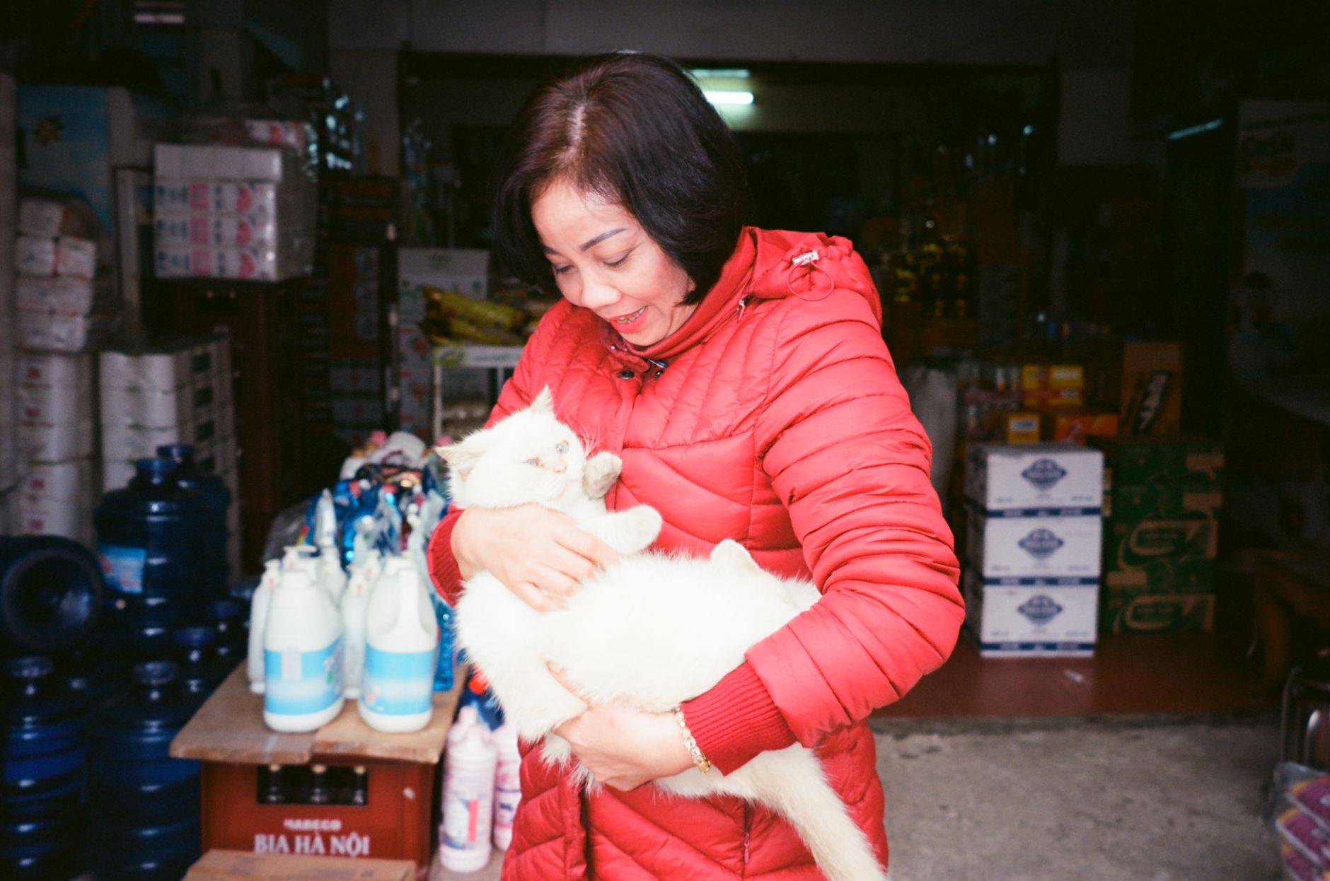 Địa chỉ mua chó Corgi/Alaska/Husky có giấy VKA tại TP.HCM – Nỗi đau nhân sự & vận hành