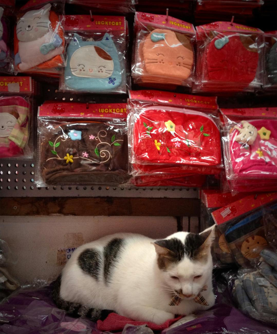 Freeship 5km Petshop: Chiến lược Marketing 0 Đồng & Tăng Lợi Nhuận