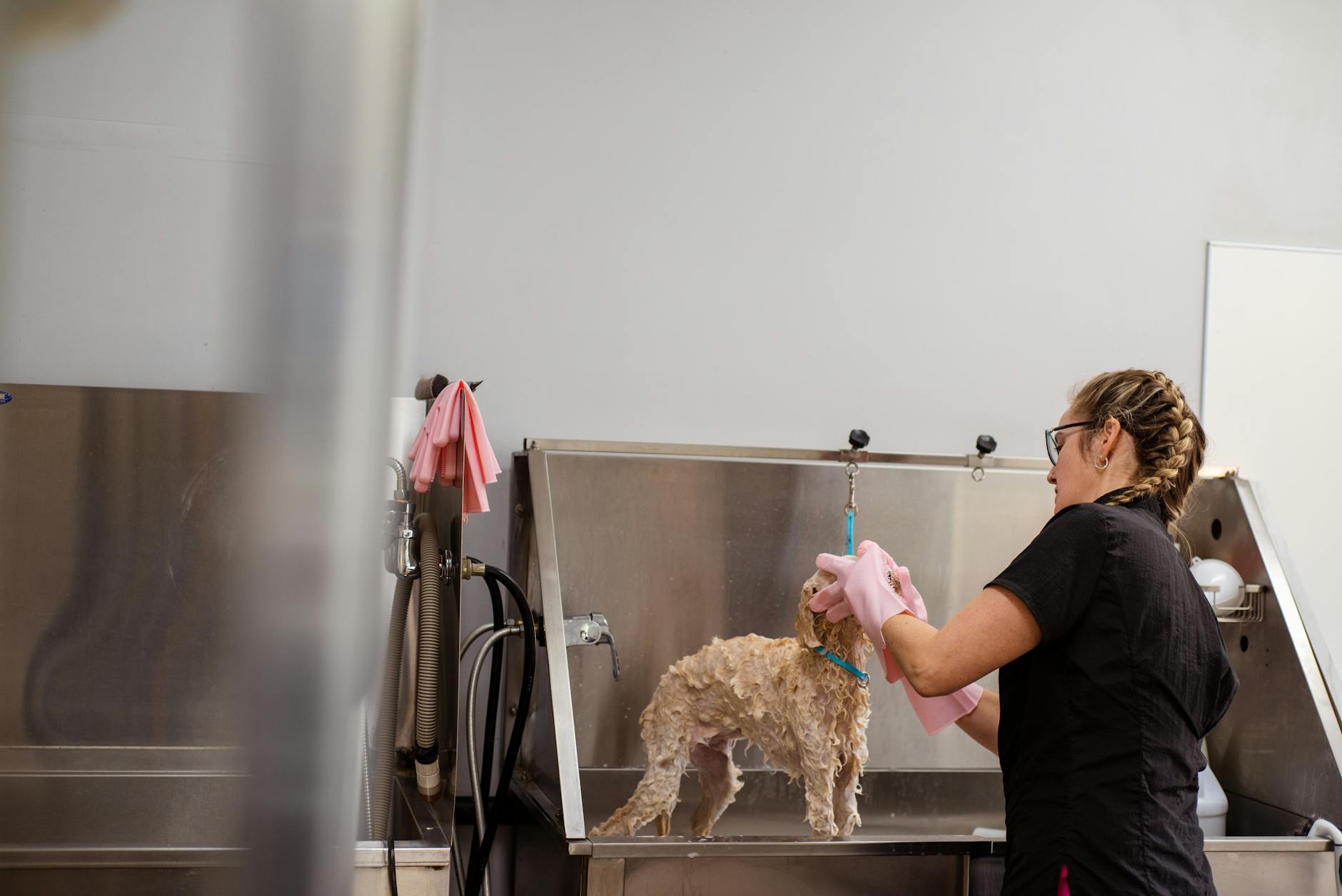 10 Spa grooming chó mèo dịch vụ 5 sao tại Việt Nam: Xử lý khiếu nại & biến khách hàng khó tính thành Fan