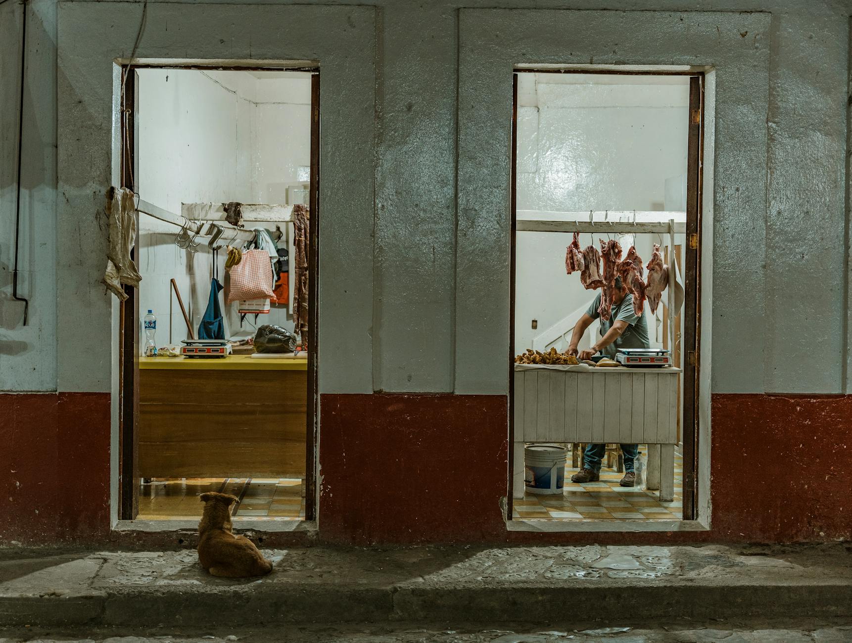 5 Pet shop bán đồ độc lạ, hàng order tại TP.HCM – Góc nhìn UX & trải nghiệm khách hàng