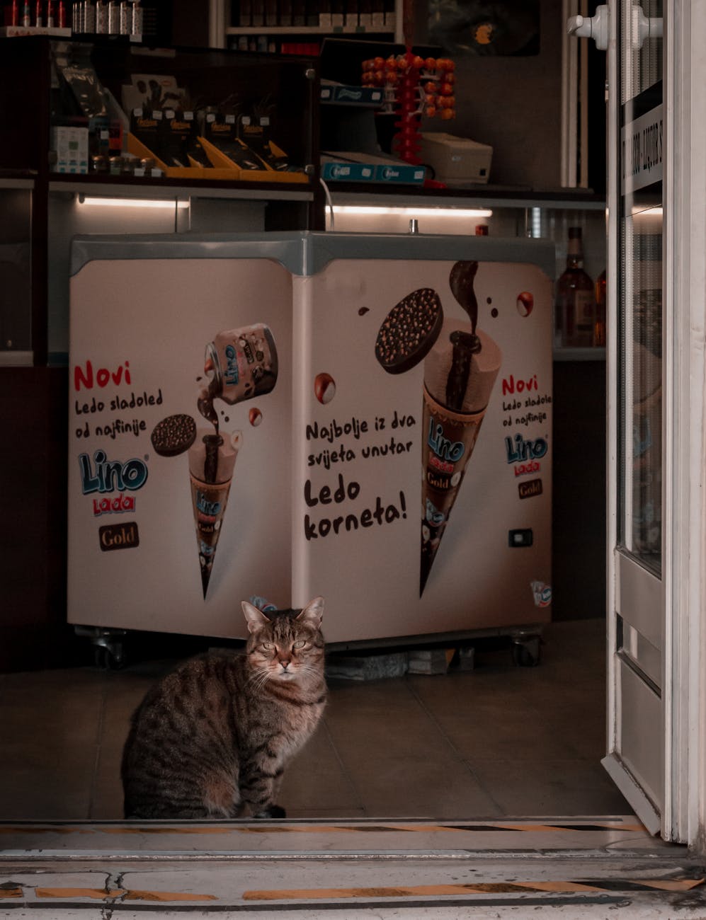 pet store near me: Khi “gần” là khả năng xử lý khiếu nại sản phẩm hỏng trong 90 giây — nhờ AR xác minh hư hại tức thì, không cần mang hàng đến cửa hàng