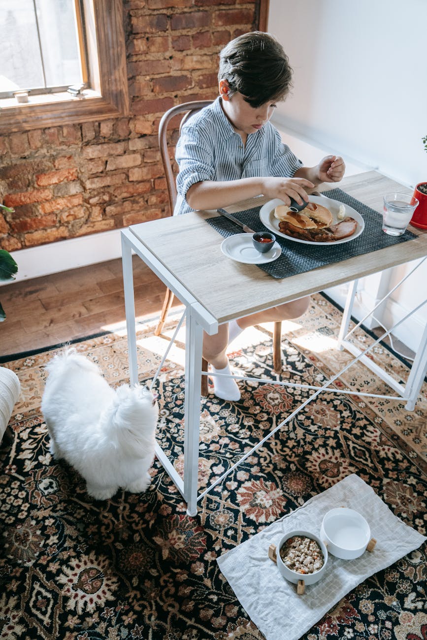 pet store near me: Dành riêng cho chủ nuôi mèo độc thân — nơi có sự kiện thứ Bảy & góc ngồi chia sẻ không cần giới thiệu