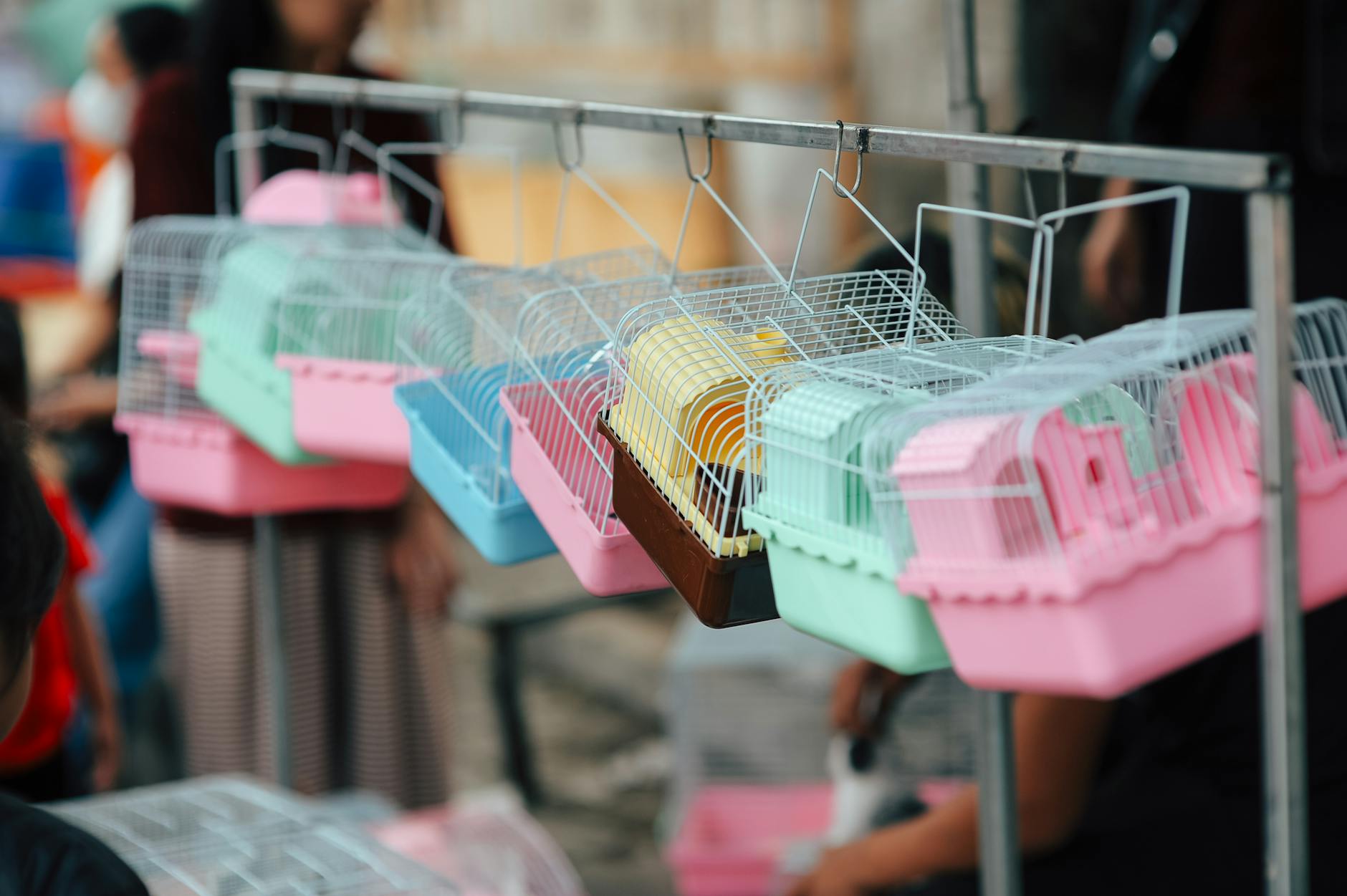 Shop bán vòng cổ, rọ mõm, dây dắt chó – Giải pháp công nghệ tối ưu cho kinh doanh