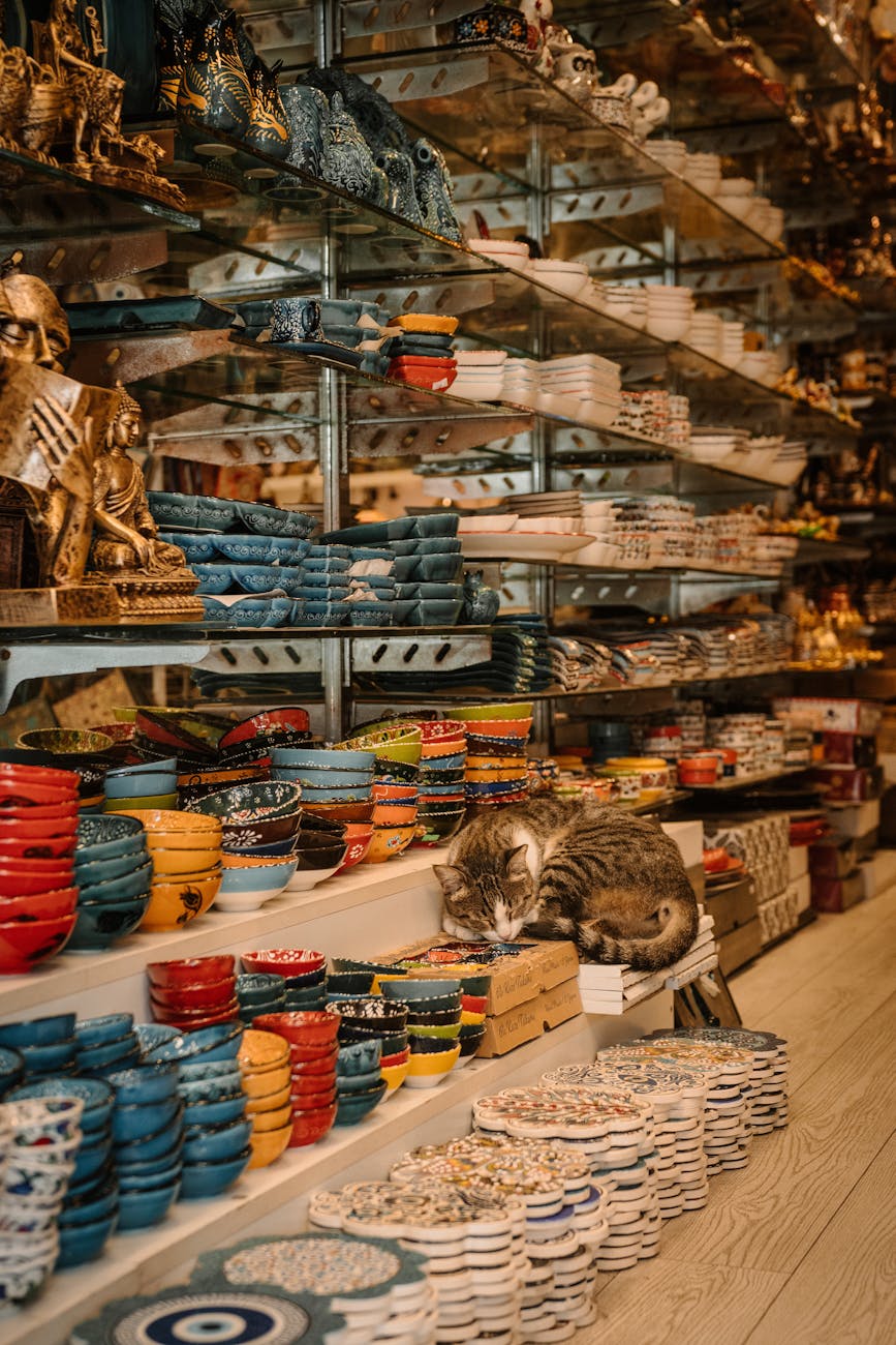 PetCity & 4 Shop Q7: Xử Lý Khiếu Nại Để Biến Khách Thành Fan