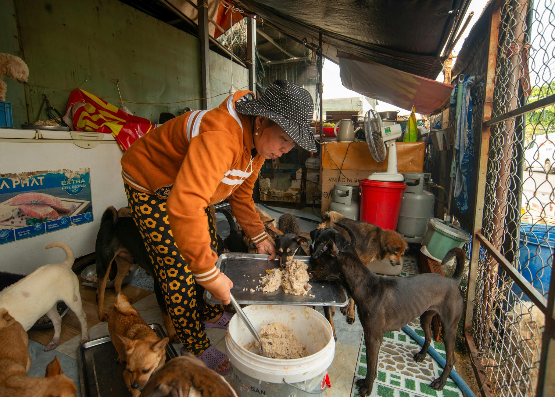 Dịch vụ mai táng, hỏa thiêu thú cưng