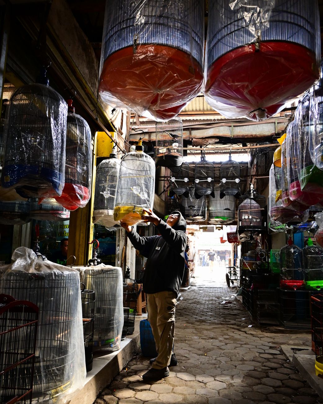 Cửa hàng Dogily Petshop gần