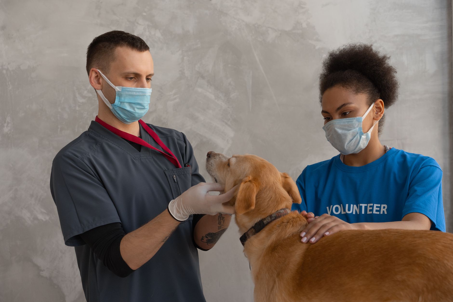 Phòng khám thú y K9 và bài toán dòng tiền: Góc nhìn từ Đồng Tháp