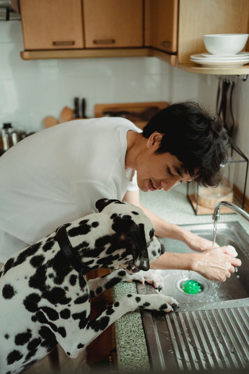 Bí mật tăng 40% lợi nhuận: Thiết kế spa thú cưng cao cấp đúng chuẩn