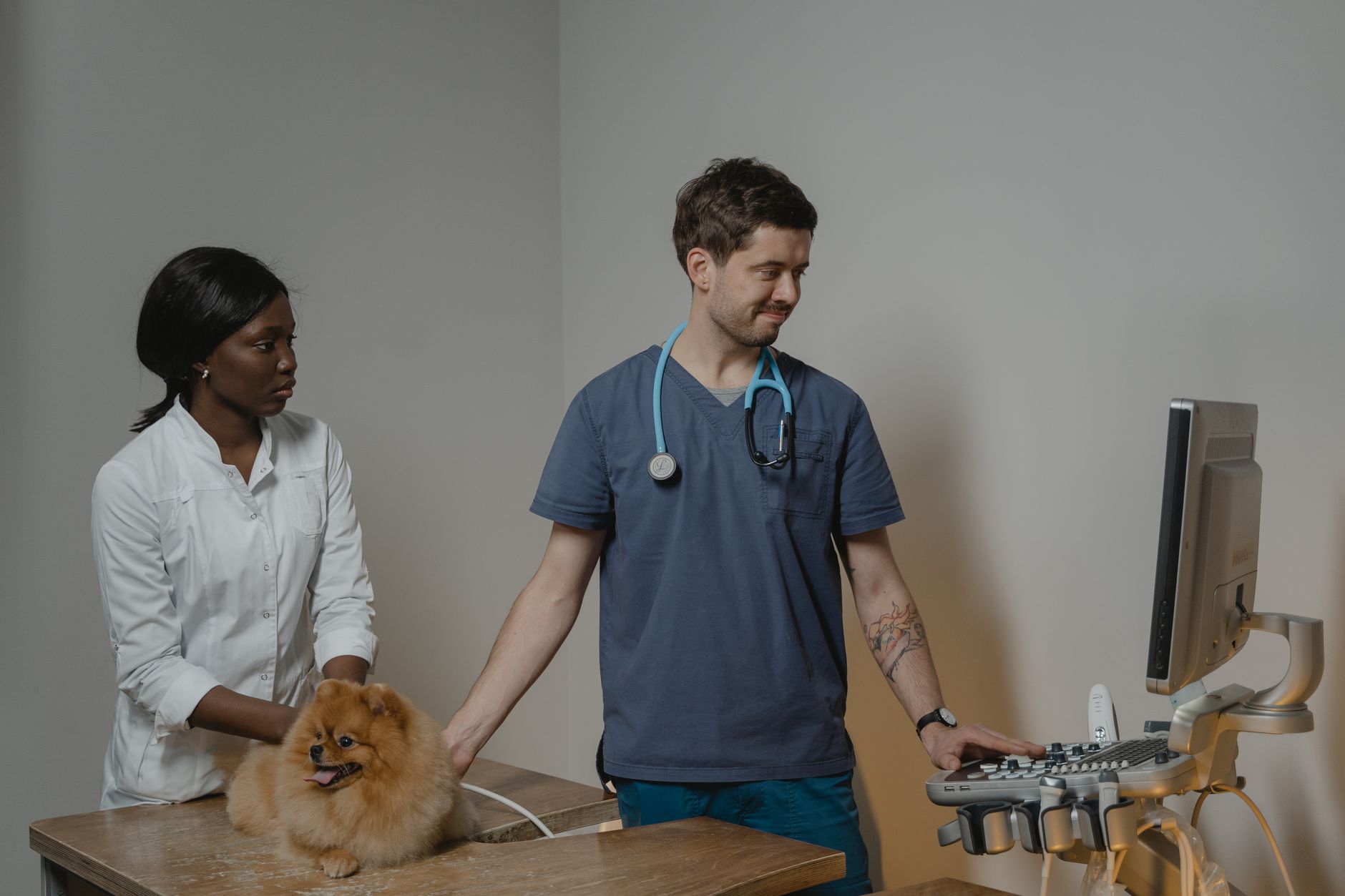 Bệnh Viện Thú Y PetPro: Sinh Tồn Nhờ Zalo OA Trong Kỷ Nguyên Số