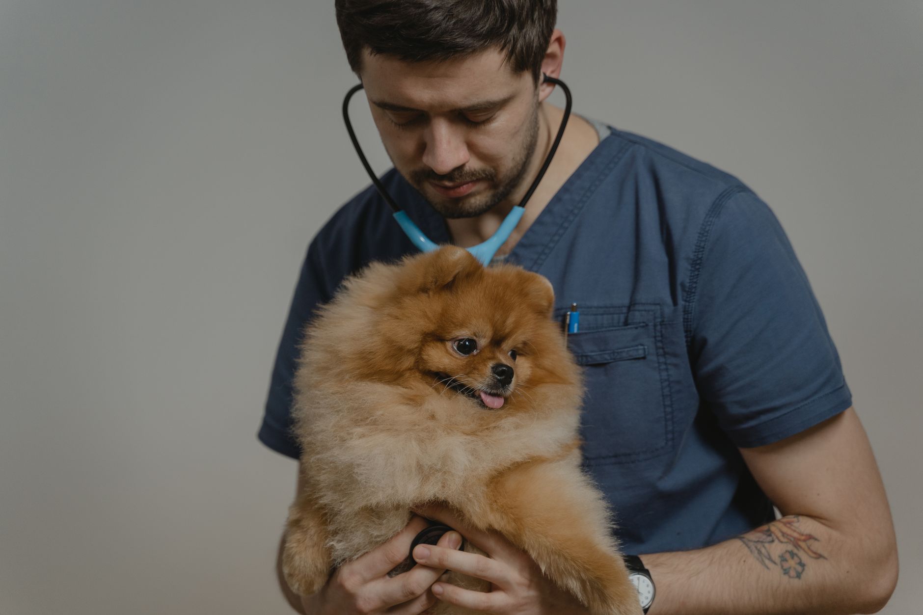 Bệnh viện thú y trực 24/7 tại Cần Thơ – Góc nhìn dòng tiền cho chủ Petshop