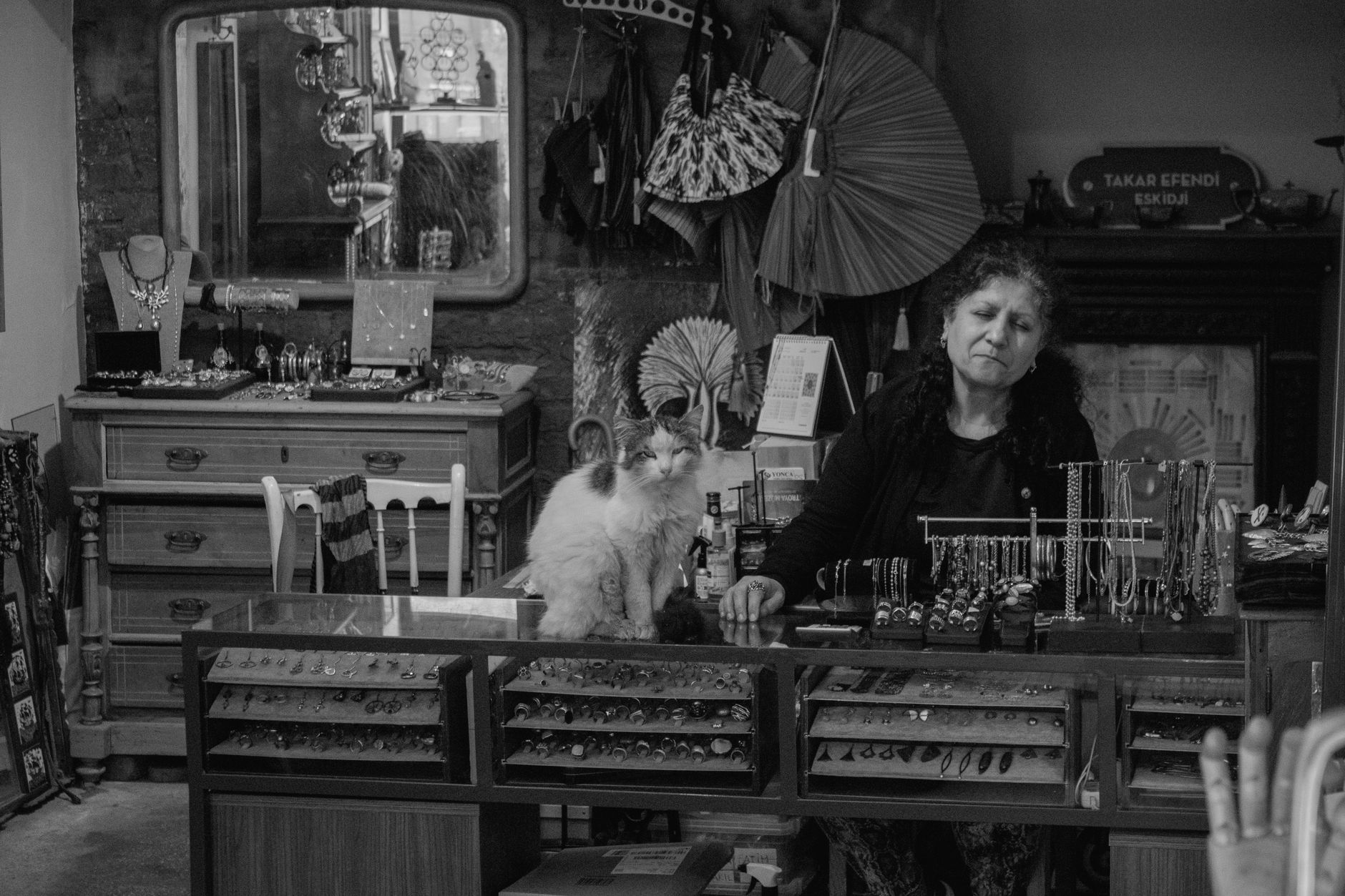 Danh sách pet shop xả hàng/khuyến mãi tại TP.HCM – Góc nhìn dòng tiền & vòng quay vốn