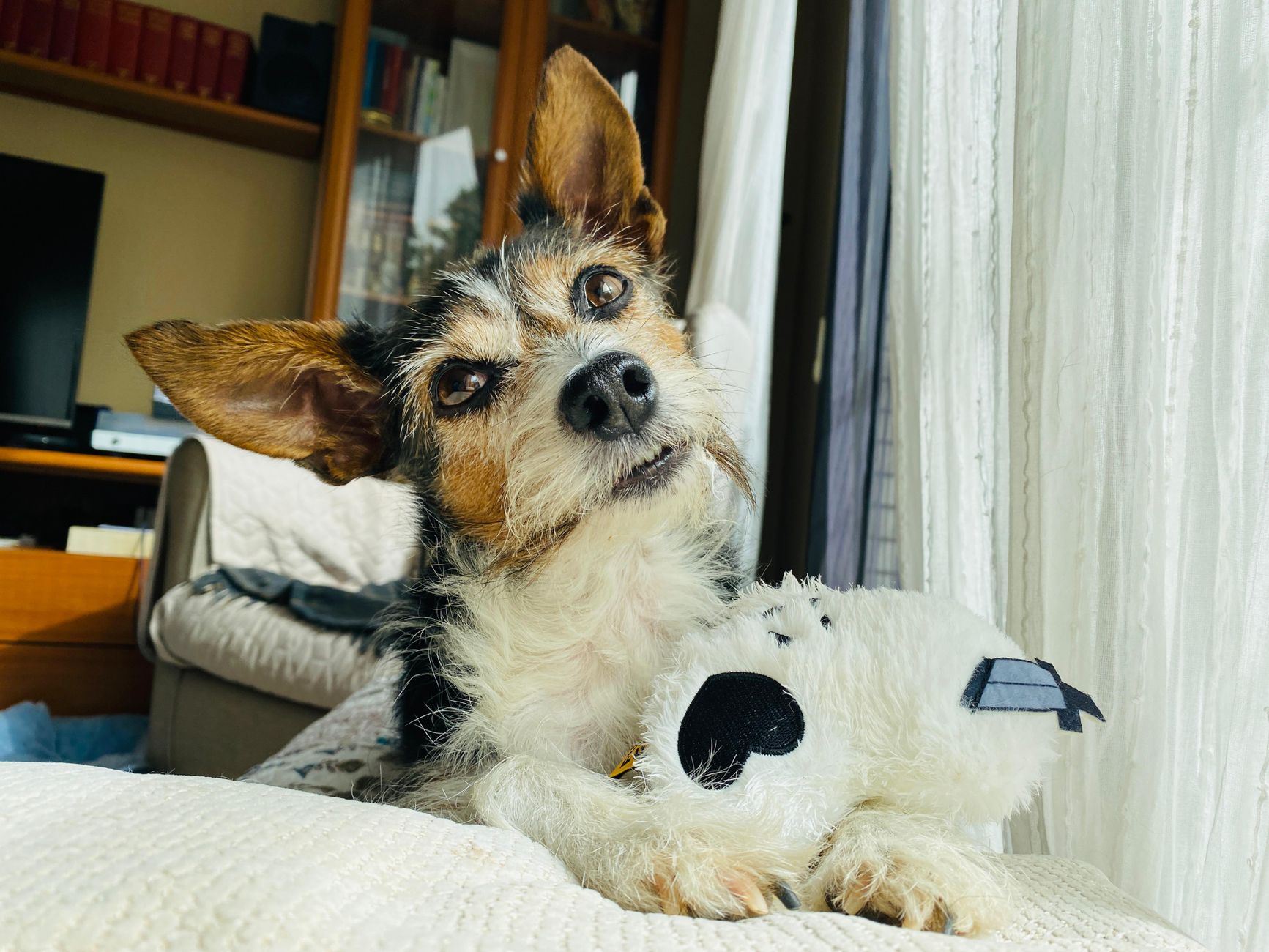 Danh sách pet shop xả hàng theo mùa – Bí quyết tối ưu doanh thu thời điểm giao mùa