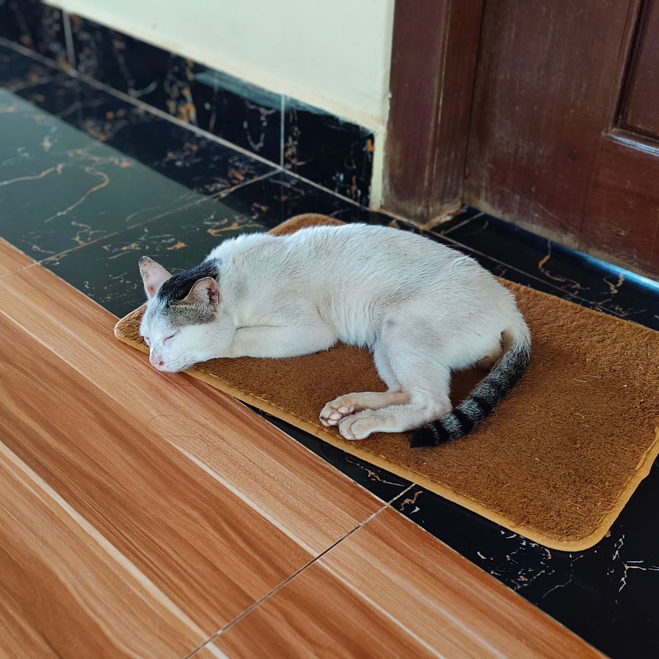 Kinh Doanh Lồng Vận Chuyển: Bài Toán Dòng Tiền & Tồn Kho