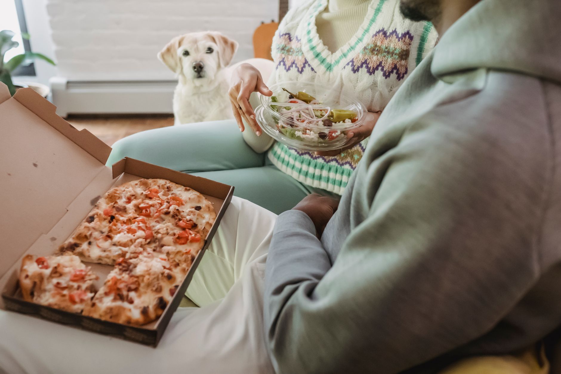 Dịch vụ lấy cao răng, cạo vôi răng chó mèo