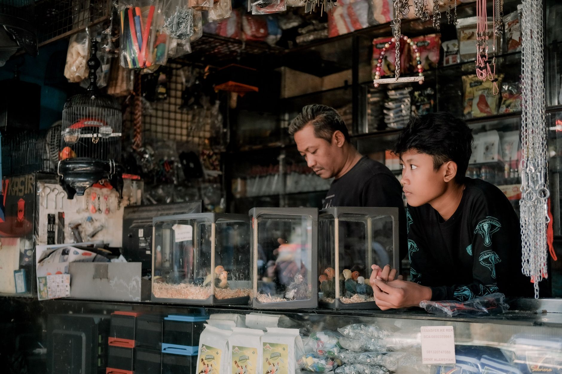 Shop Cỏ Mèo TP.HCM: 3 Góc Nhìn Công Nghệ Tối Ưu