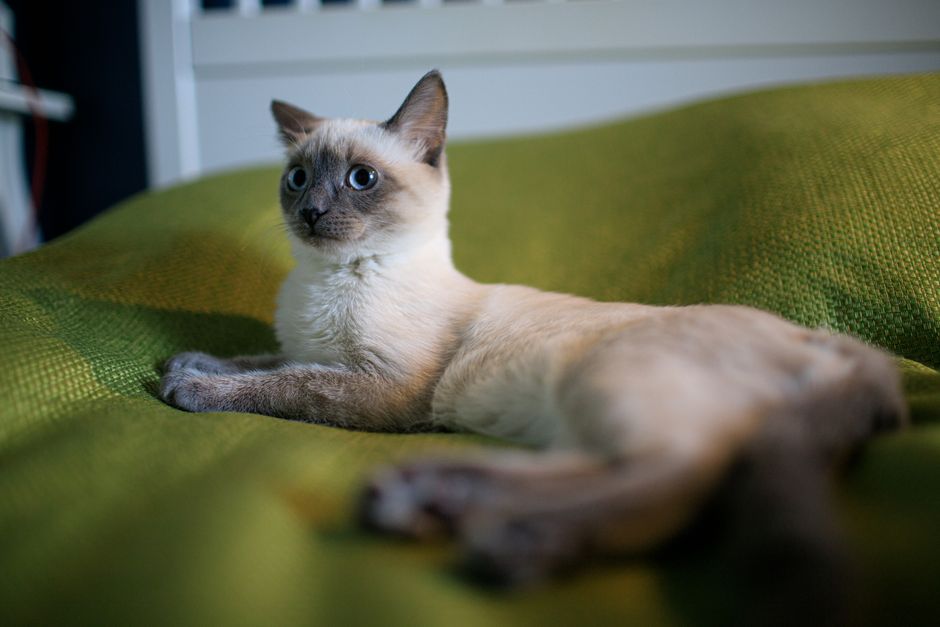 Review trung thực sau 1 tháng dùng Cát đất sét giá dưới 100K