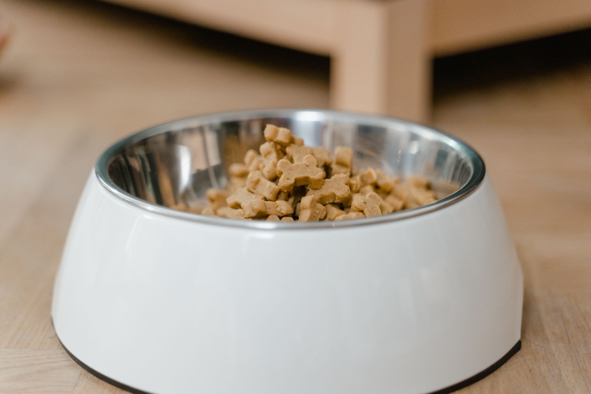 Pet shop giá rẻ mua ở đâu TPHCM? Chọn đúng, khỏe bền