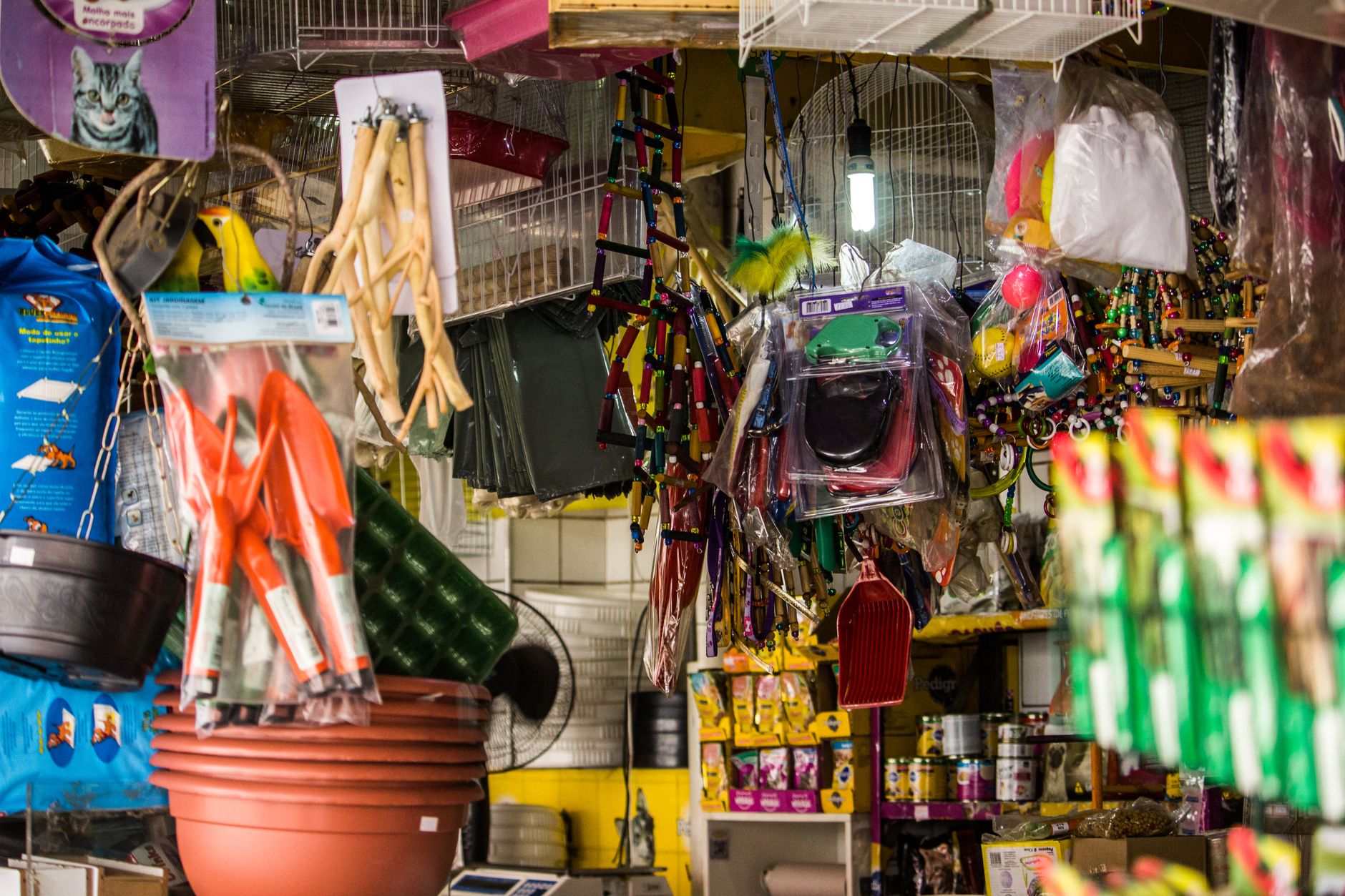 Pet shop bán chó mèo cảnh uy tín
