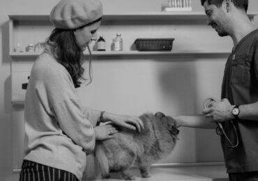 Men Vi Sinh Bioline G1 Có Tốt Không: Cẩm Nang Thực Chiến 2026 Từ Hello Con Sen