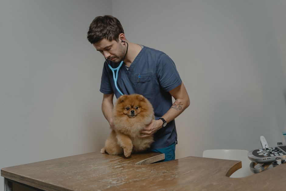 Men vi sinh bioline g1 có tốt không - Cẩm nang thực tế từ Hello Con Sen